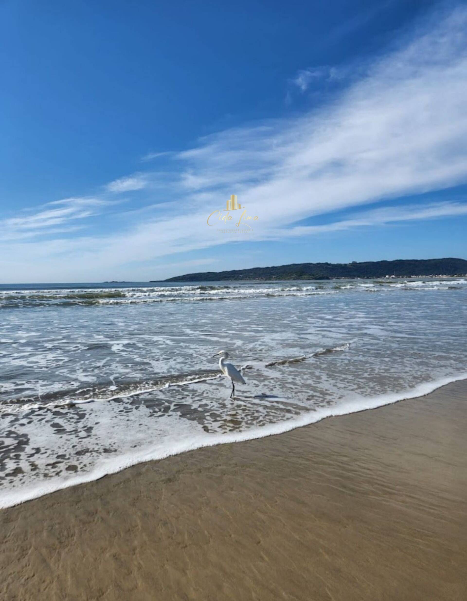 Sala-Conjunto, 315 m² - Foto 10