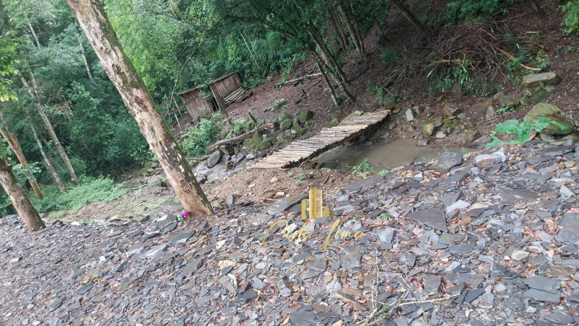 Sítio, 3 quartos, 12 hectares - Foto 5