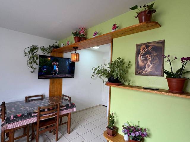 #262 - Apartamento para Venda em São José - SC - 1